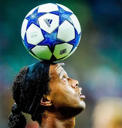 的补强显得 的补强显得