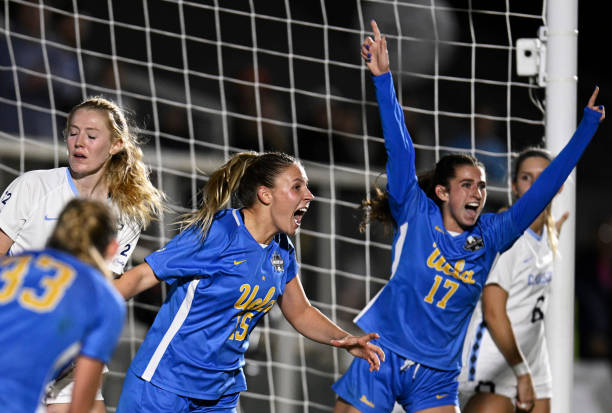 他们的案例 他们的案例